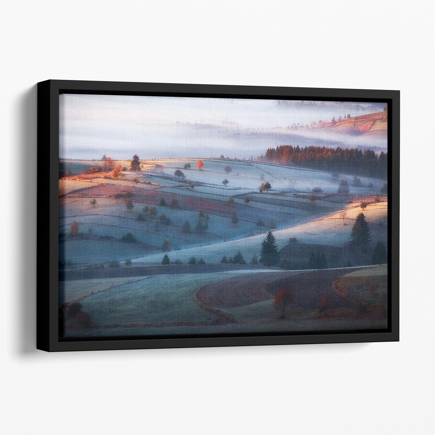 Mist Floating Framed Canvas - Canvas Art Rocks - 1