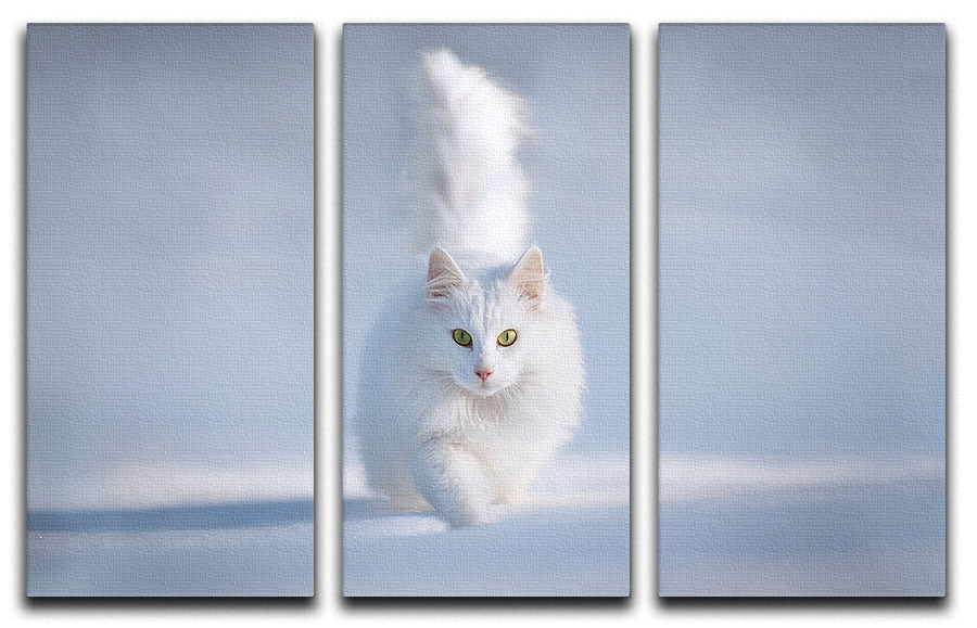 White Kitten Running In Snow 3 Split Panel Canvas Print - Canvas Art Rocks - 1