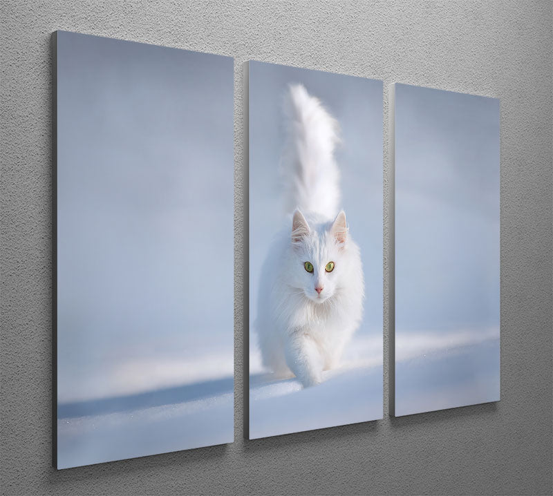 White Kitten Running In Snow 3 Split Panel Canvas Print - Canvas Art Rocks - 2