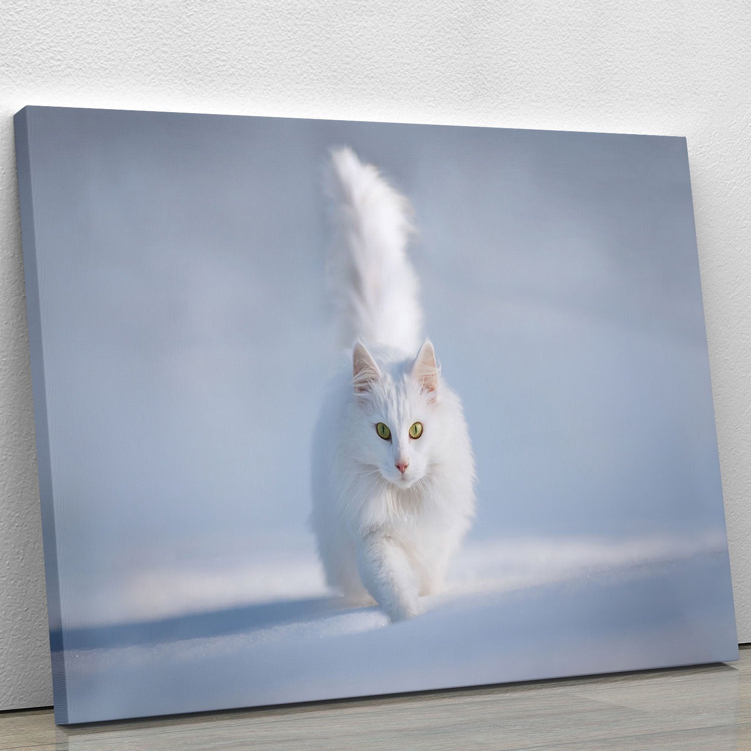 White Kitten Running In Snow Canvas Print or Poster - Canvas Art Rocks - 1