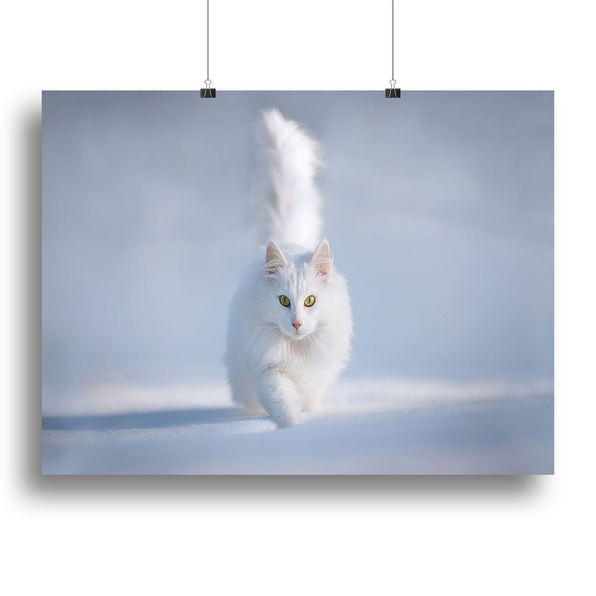 White Kitten Running In Snow Canvas Print or Poster - Canvas Art Rocks - 2
