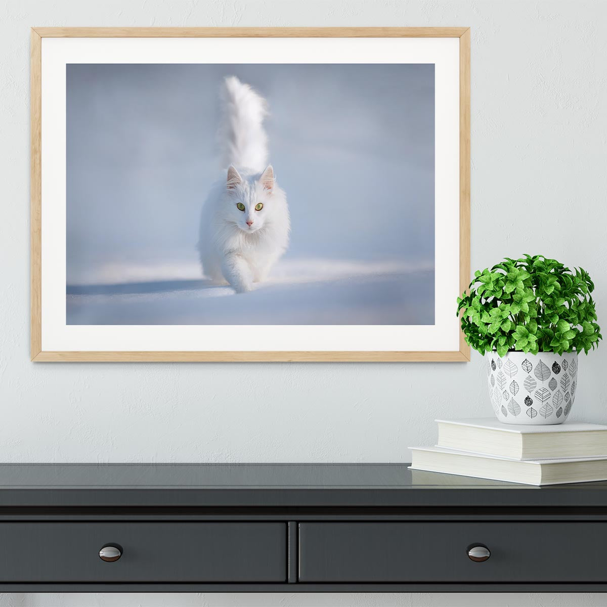 White Kitten Running In Snow Framed Print - Canvas Art Rocks - 3
