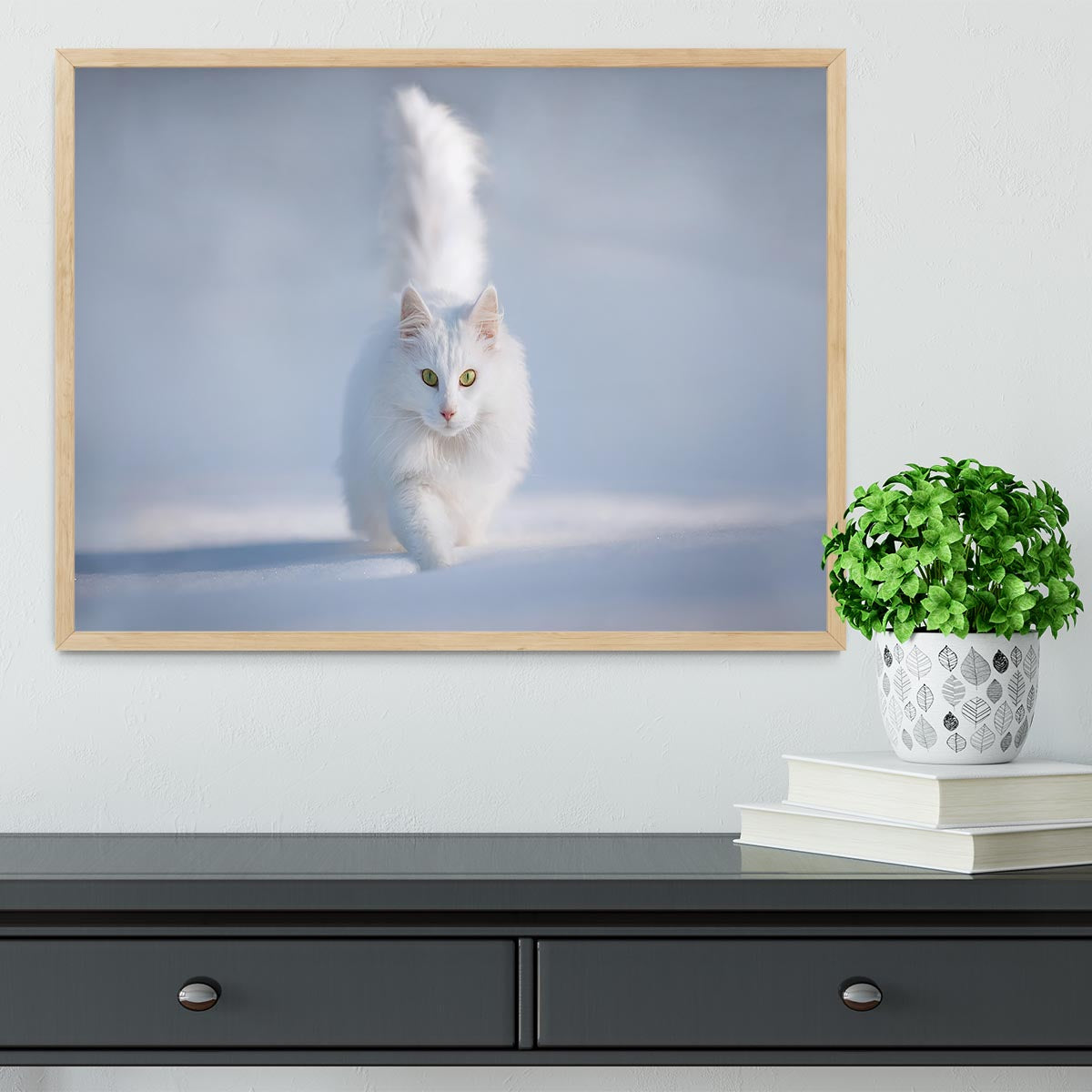 White Kitten Running In Snow Framed Print - Canvas Art Rocks - 4