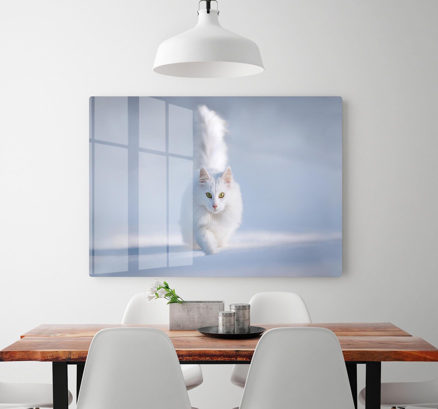 White Kitten Running In Snow HD Metal Print - Canvas Art Rocks - 2