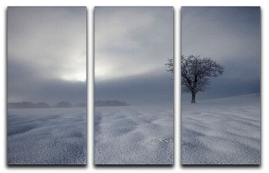 Winter Impression 3 Split Panel Canvas Print - Canvas Art Rocks - 1