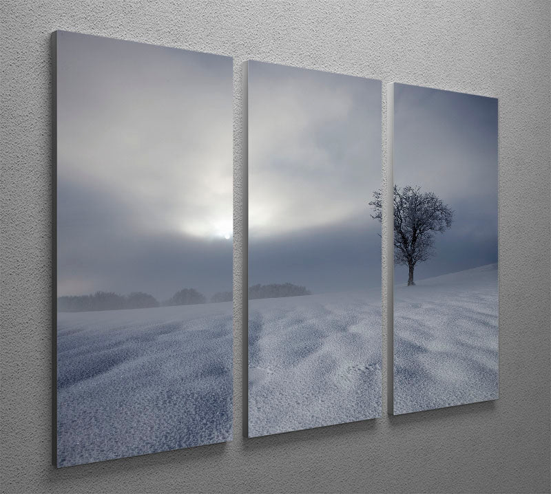 Winter Impression 3 Split Panel Canvas Print - Canvas Art Rocks - 2