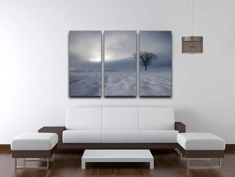 Winter Impression 3 Split Panel Canvas Print - Canvas Art Rocks - 3