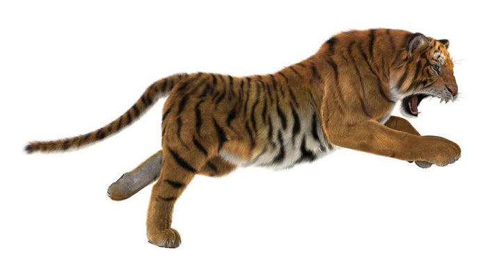 3D digital render of a hunting big cat Wall Mural Wallpaper