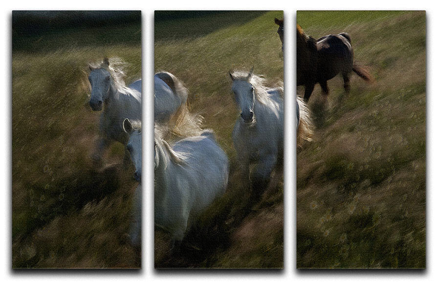 Horses Gallop in 3 Split Panel Canvas Print - Canvas Art Rocks - 1