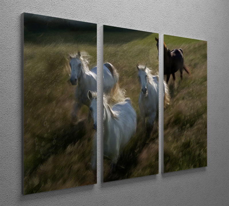 Horses Gallop in 3 Split Panel Canvas Print - Canvas Art Rocks - 2