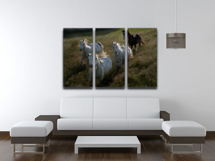 Horses Gallop in 3 Split Panel Canvas Print - Canvas Art Rocks - 3