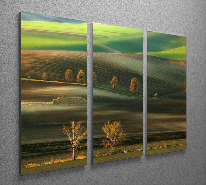 Ten 3 Split Panel Canvas Print - Canvas Art Rocks - 2