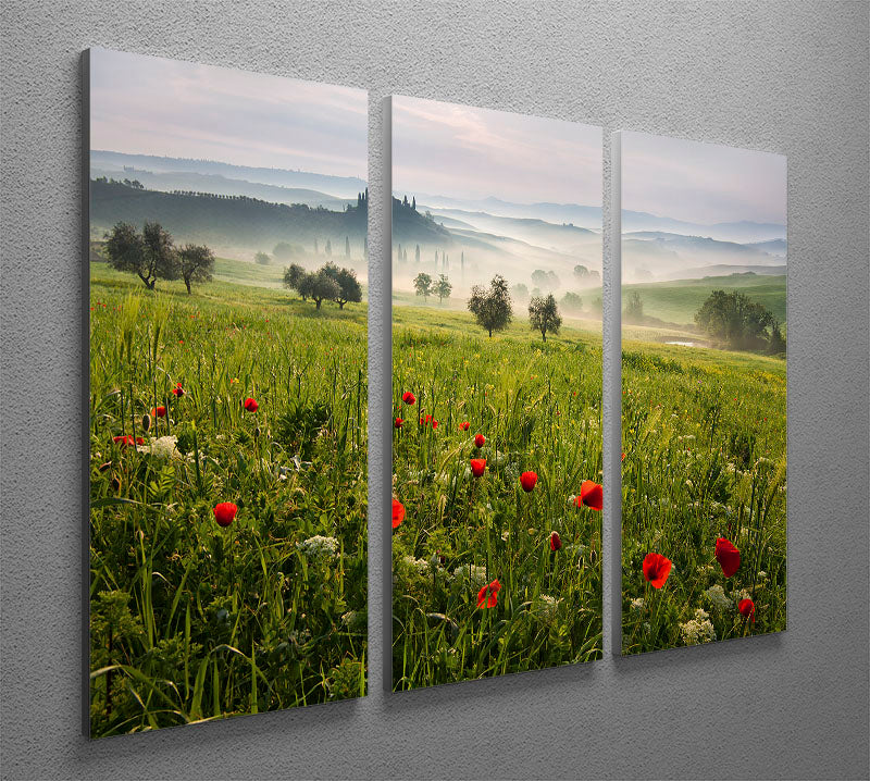 Tuscan Spring 3 Split Panel Canvas Print - Canvas Art Rocks - 2