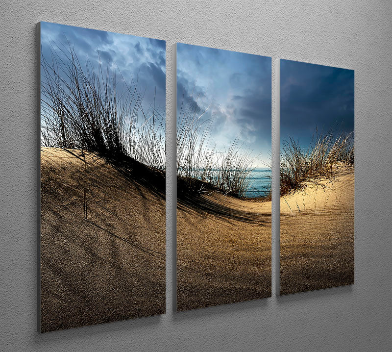Dunes 3 Split Panel Canvas Print - Canvas Art Rocks - 2