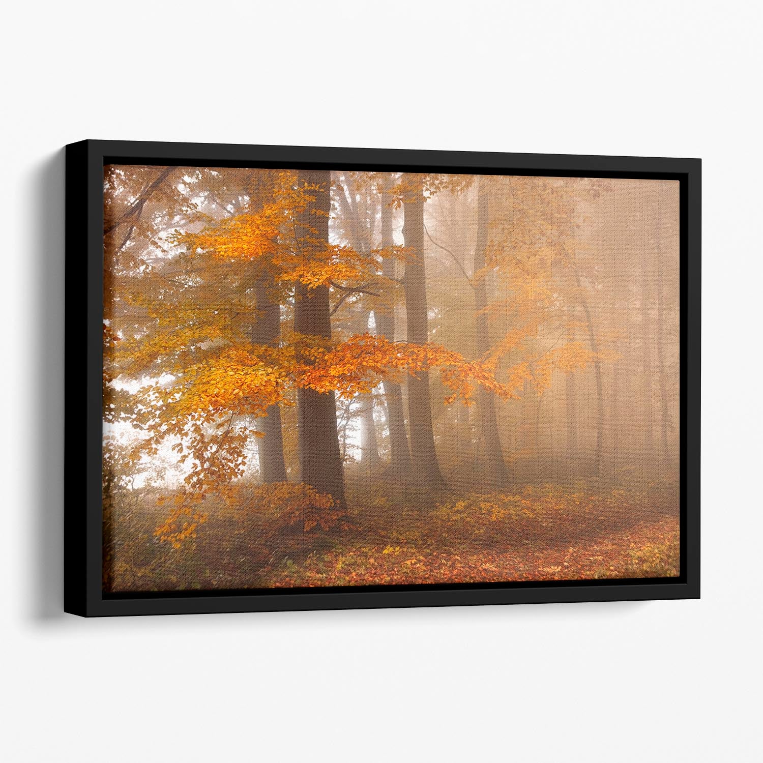 Edge Of The Woods Floating Framed Canvas - Canvas Art Rocks - 1