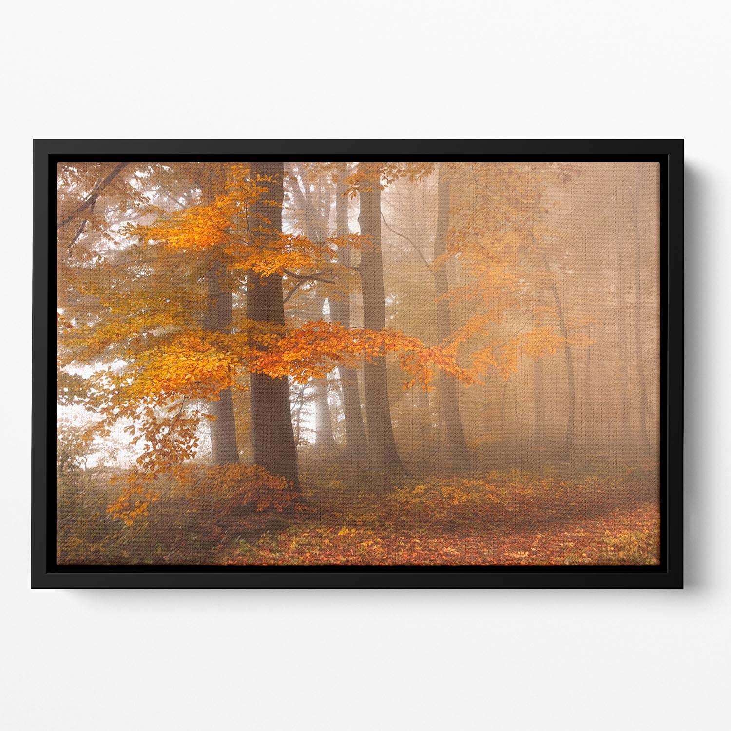 Edge Of The Woods Floating Framed Canvas - Canvas Art Rocks - 2