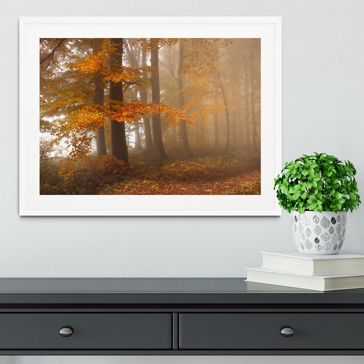 Edge Of The Woods Framed Print - Canvas Art Rocks - 5