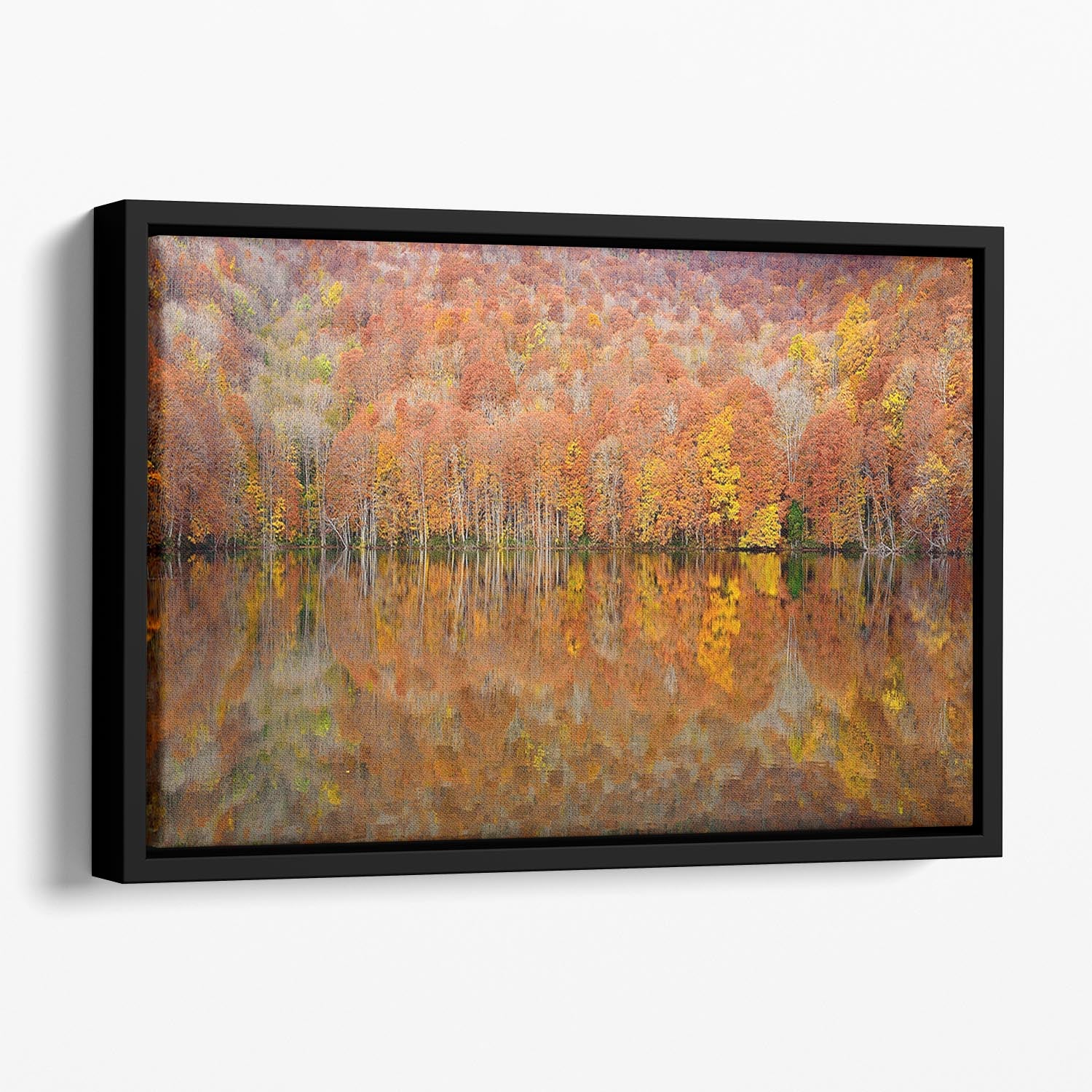 Glowing Autumn Floating Framed Canvas - Canvas Art Rocks - 1