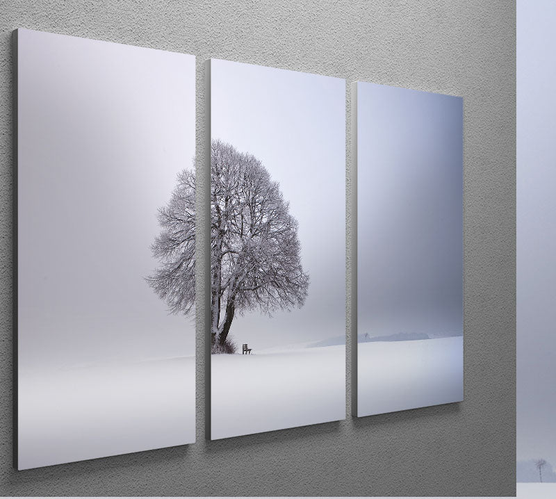 Winter Light 3 Split Panel Canvas Print - Canvas Art Rocks - 2