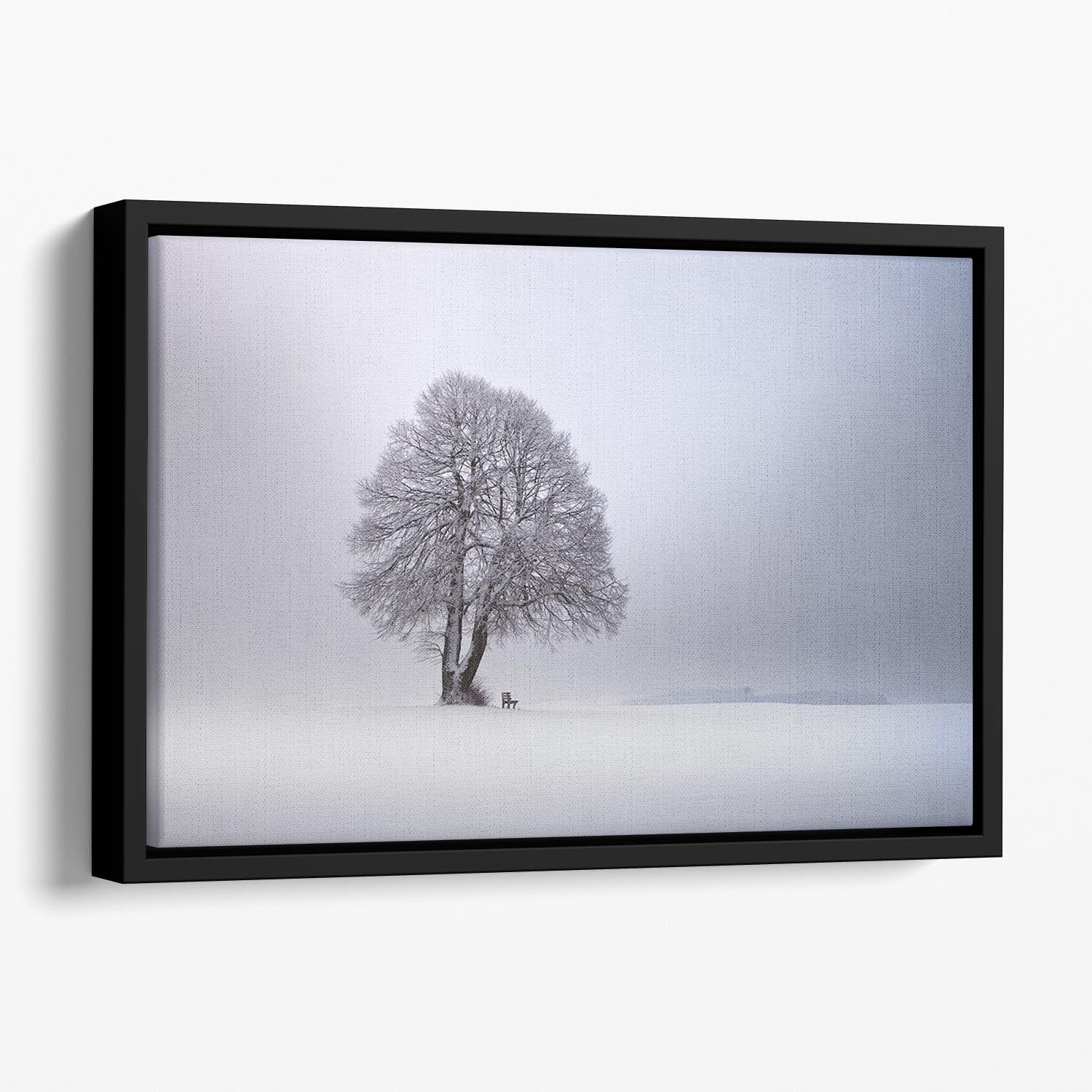 Winter Light Floating Framed Canvas - Canvas Art Rocks - 1
