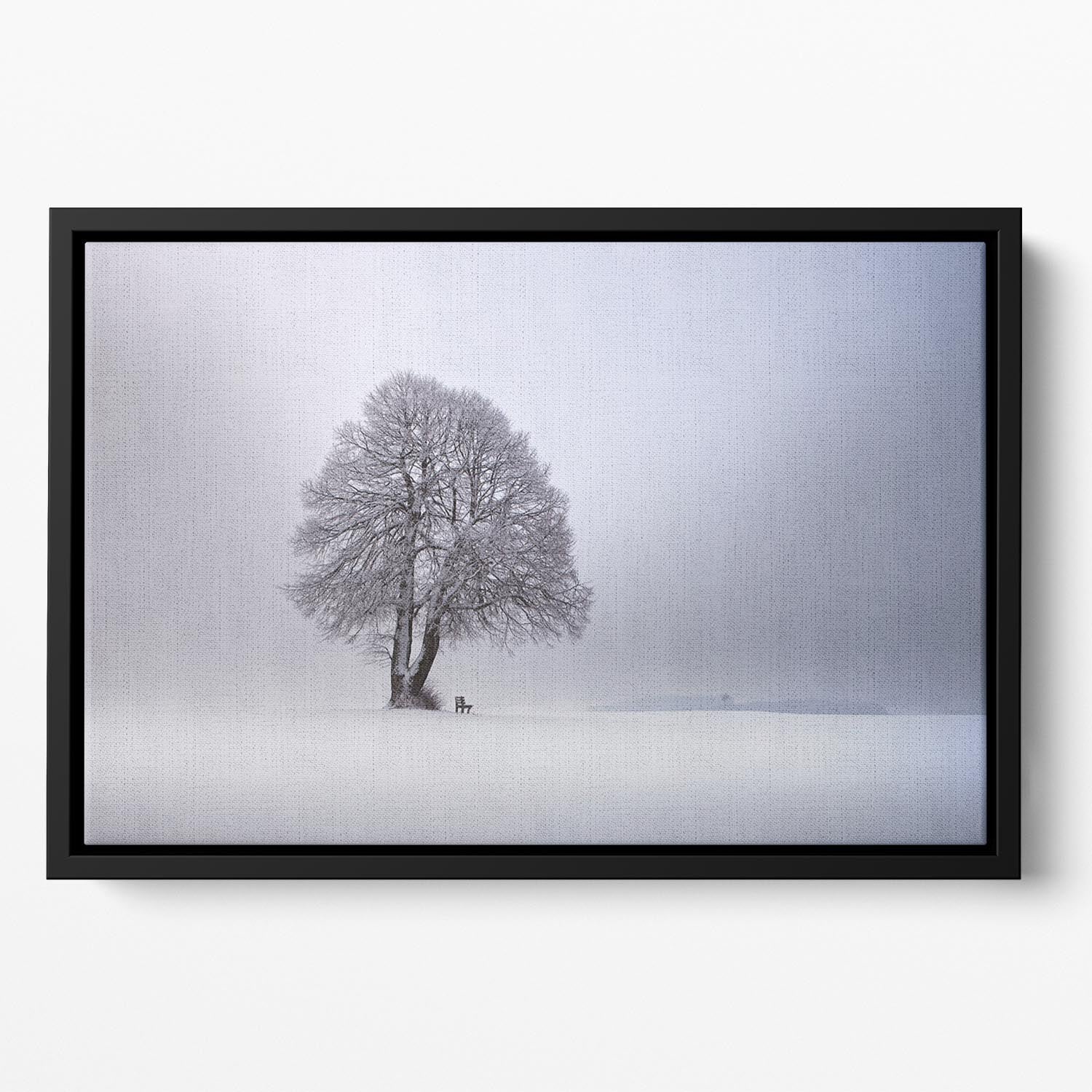 Winter Light Floating Framed Canvas - Canvas Art Rocks - 2