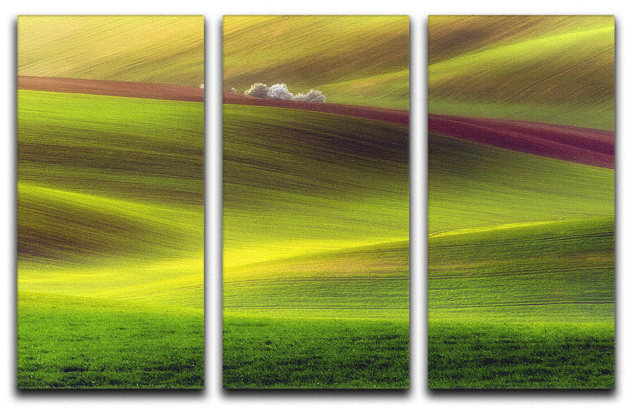 Golden Fields 3 Split Panel Canvas Print - Canvas Art Rocks - 1