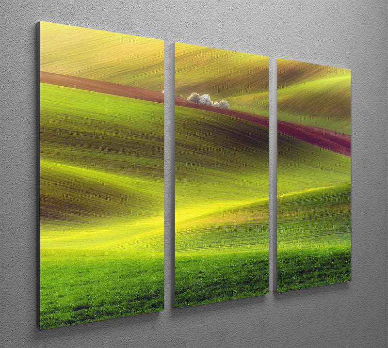 Golden Fields 3 Split Panel Canvas Print - Canvas Art Rocks - 2