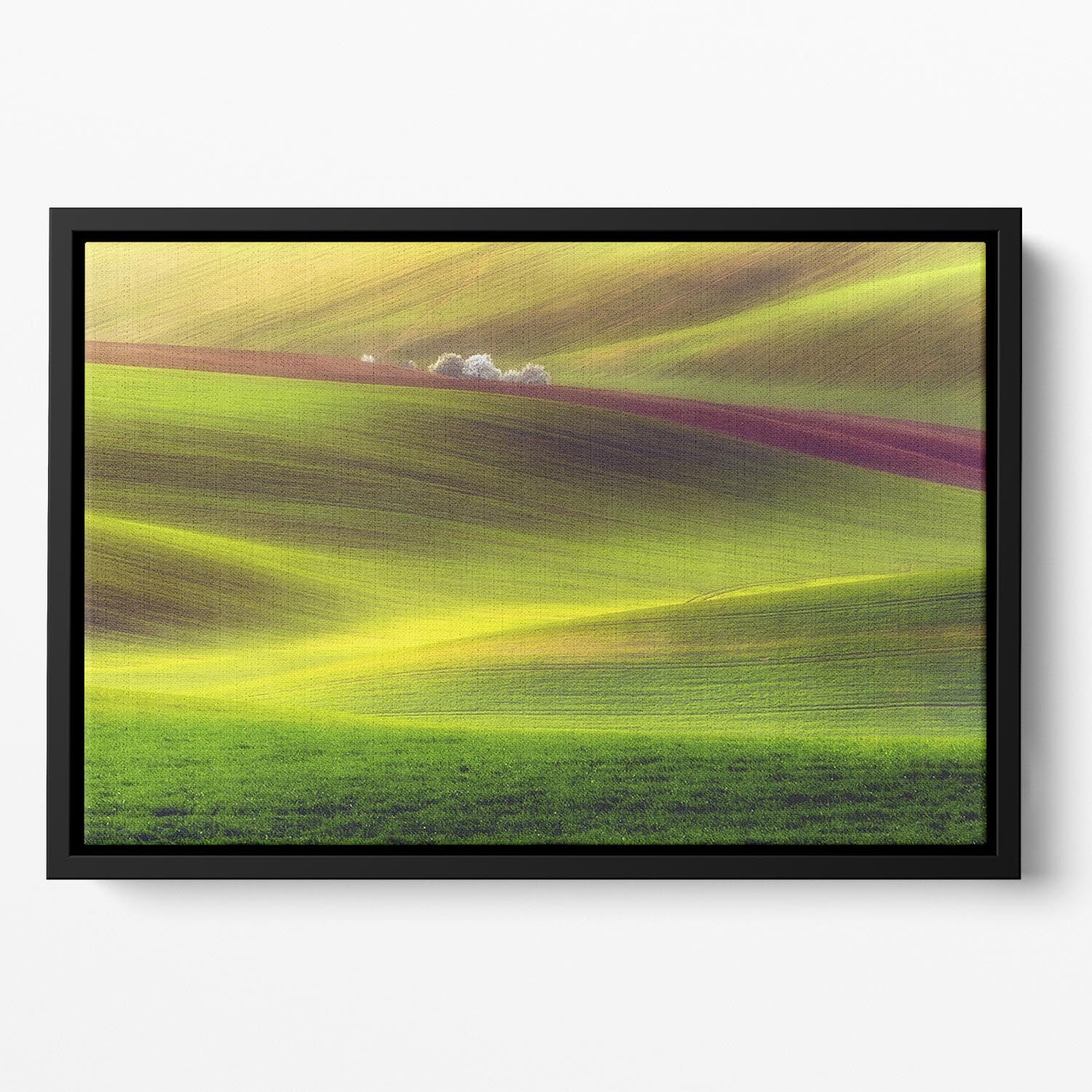 Golden Fields Floating Framed Canvas - Canvas Art Rocks - 2