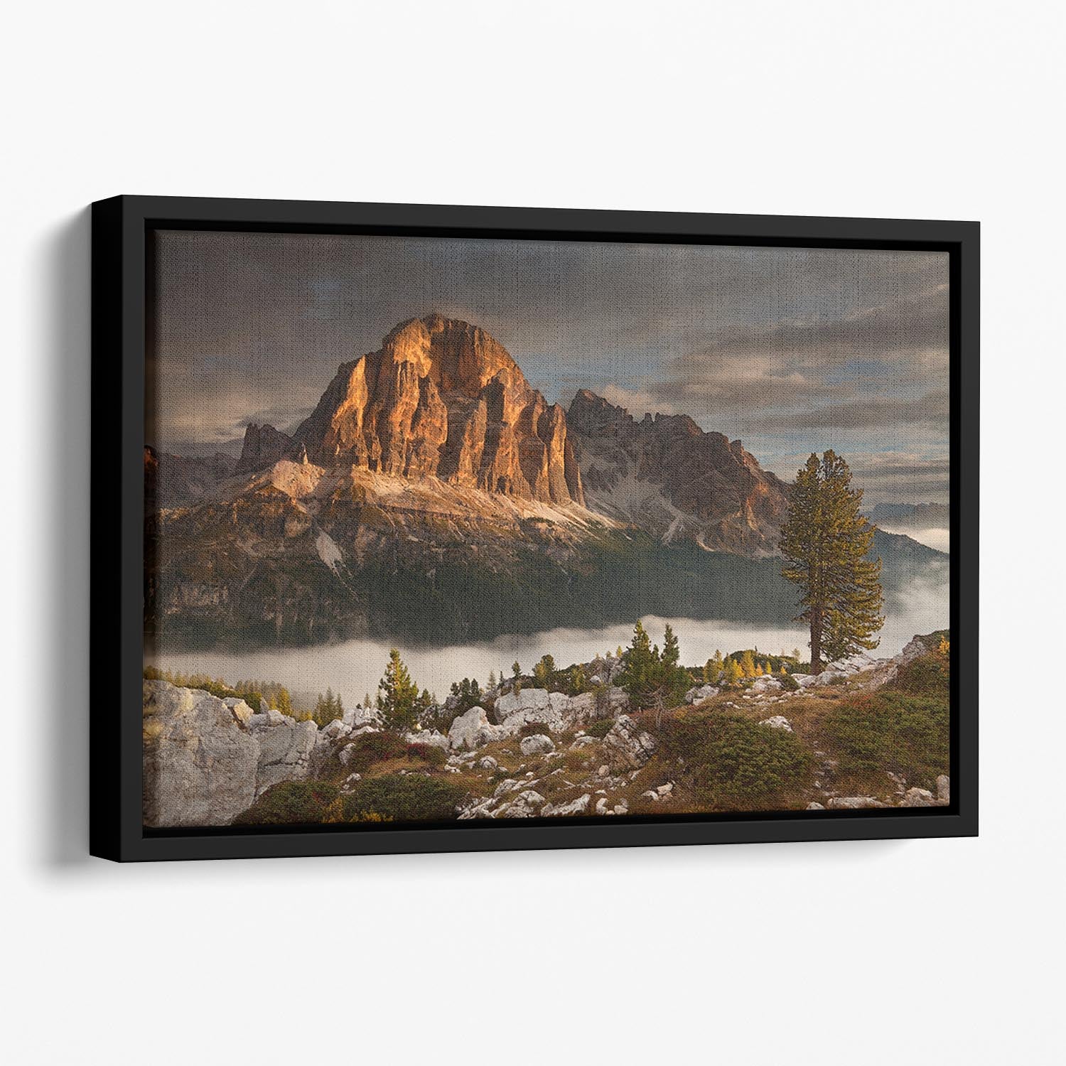 Tofana De Rozes Floating Framed Canvas - Canvas Art Rocks - 1