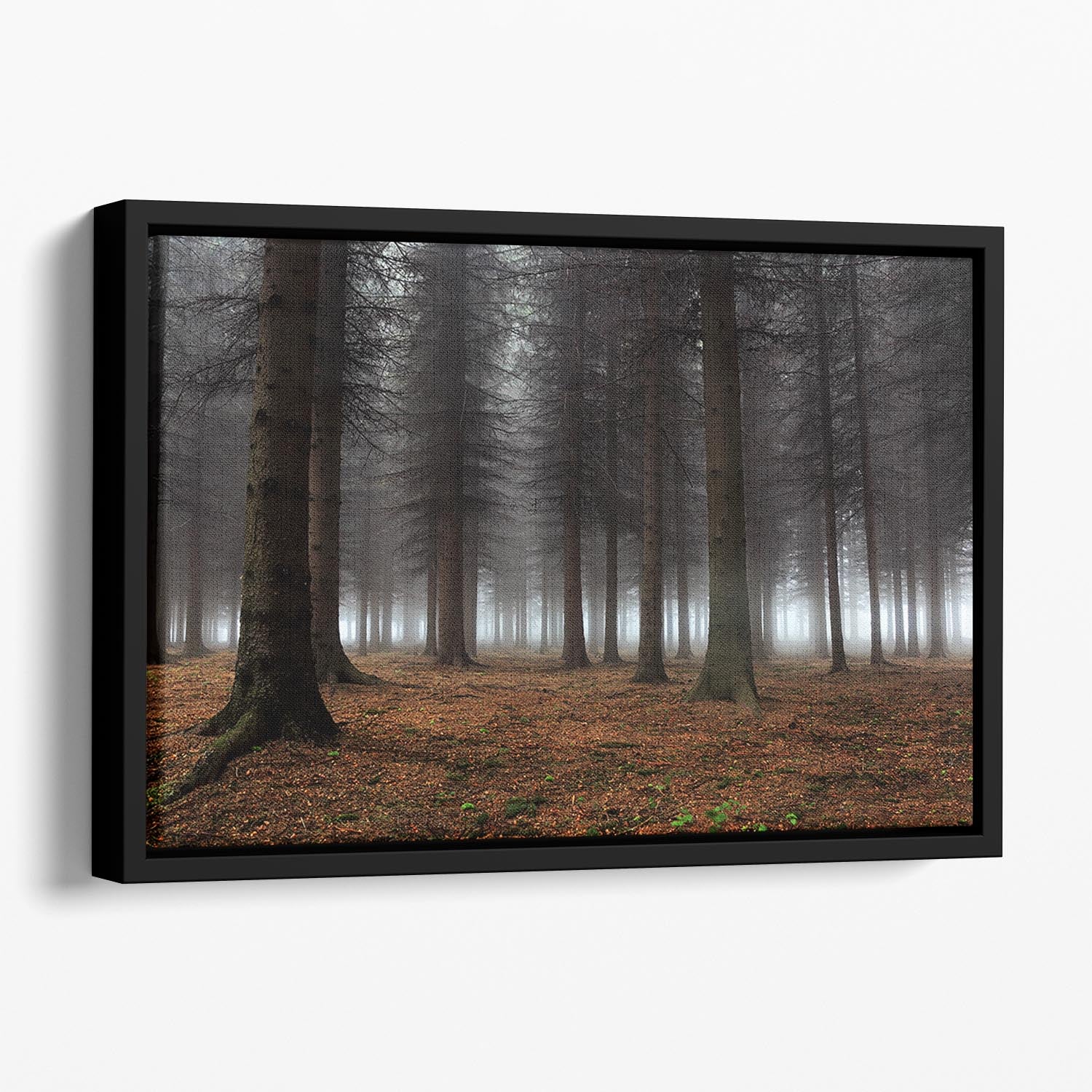 Place Of Silence Floating Framed Canvas - Canvas Art Rocks - 1