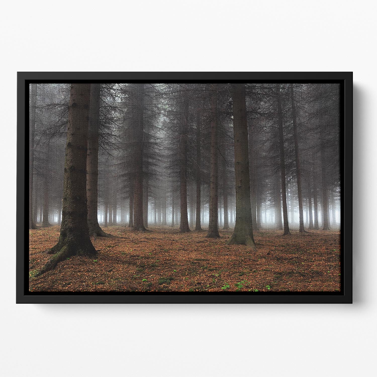 Place Of Silence Floating Framed Canvas - Canvas Art Rocks - 2