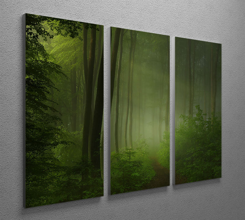 Forest Morning 3 Split Panel Canvas Print - Canvas Art Rocks - 2