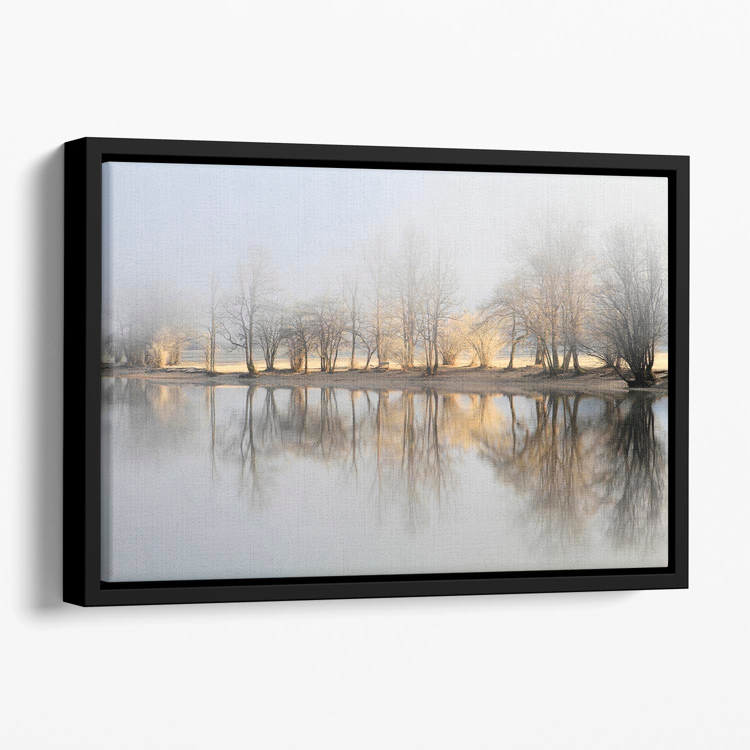 January Morning Floating Framed Canvas - Canvas Art Rocks - 1