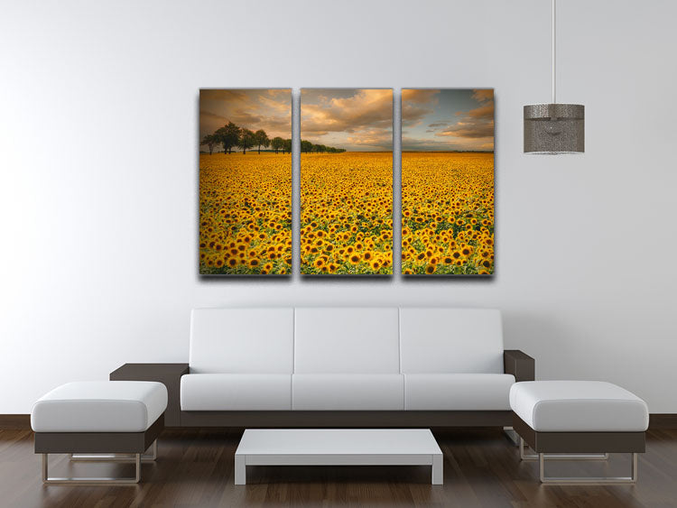 Sunflowers 3 Split Panel Canvas Print - Canvas Art Rocks - 3