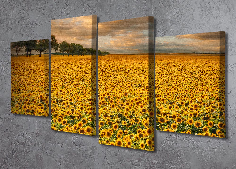 Sunflowers 4 Split Panel Canvas - Canvas Art Rocks - 2