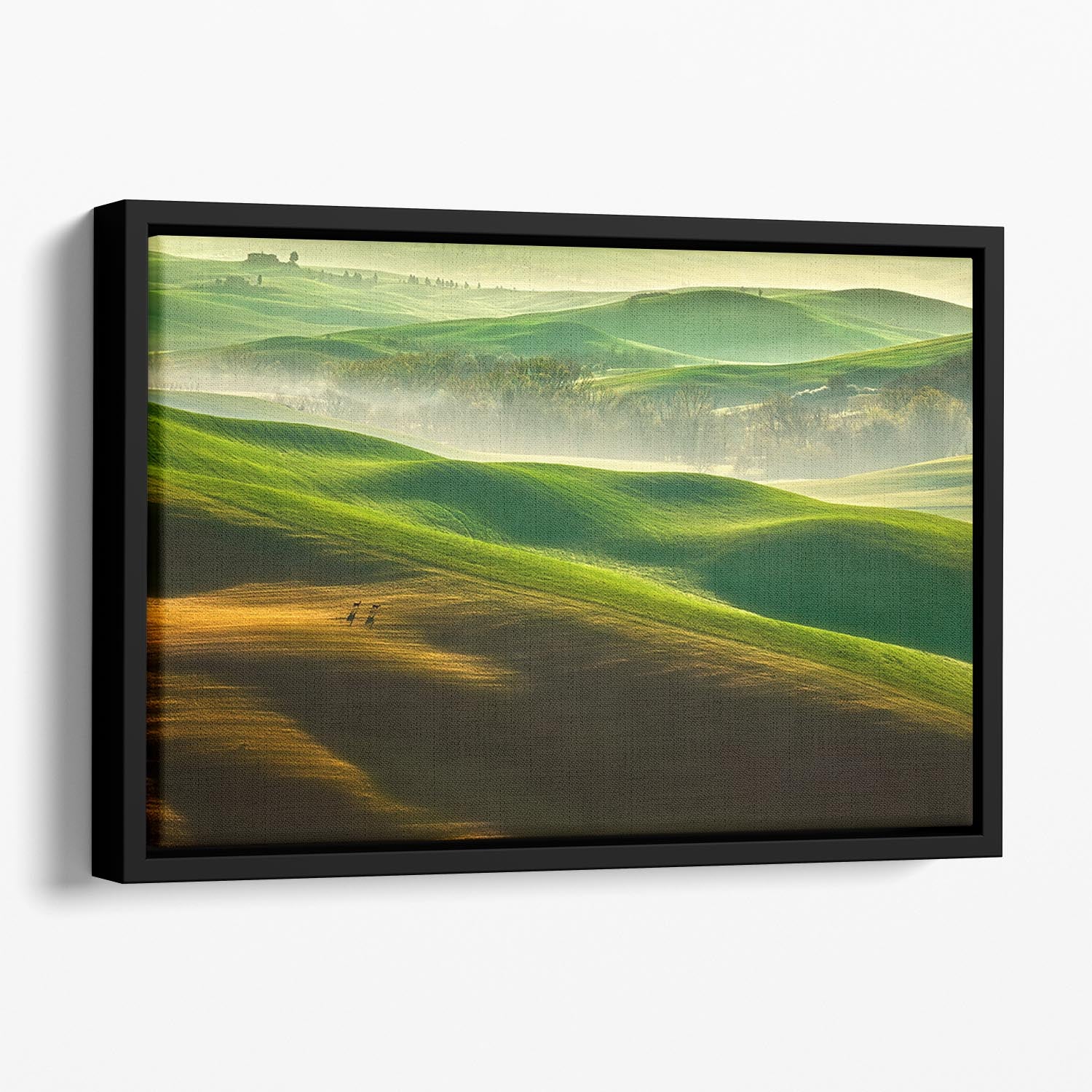 Freedom Floating Framed Canvas - 1x - 1