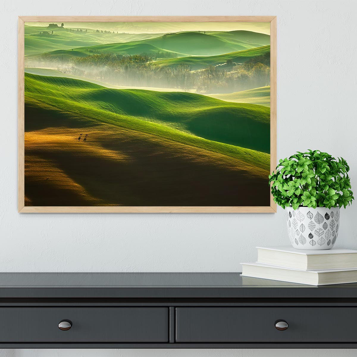 Freedom Framed Print - 1x - 4