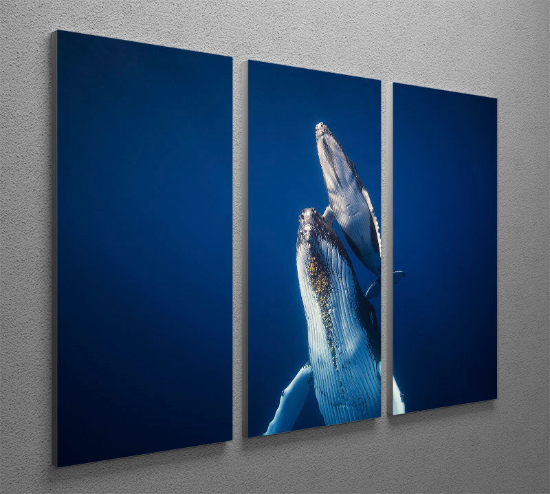 Come Back To The Surface 3 Split Panel Canvas Print - Canvas Art Rocks - 2