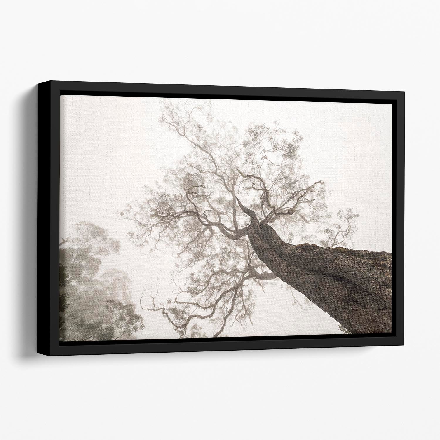 Between Heaven And Earth Floating Framed Canvas - Canvas Art Rocks - 1