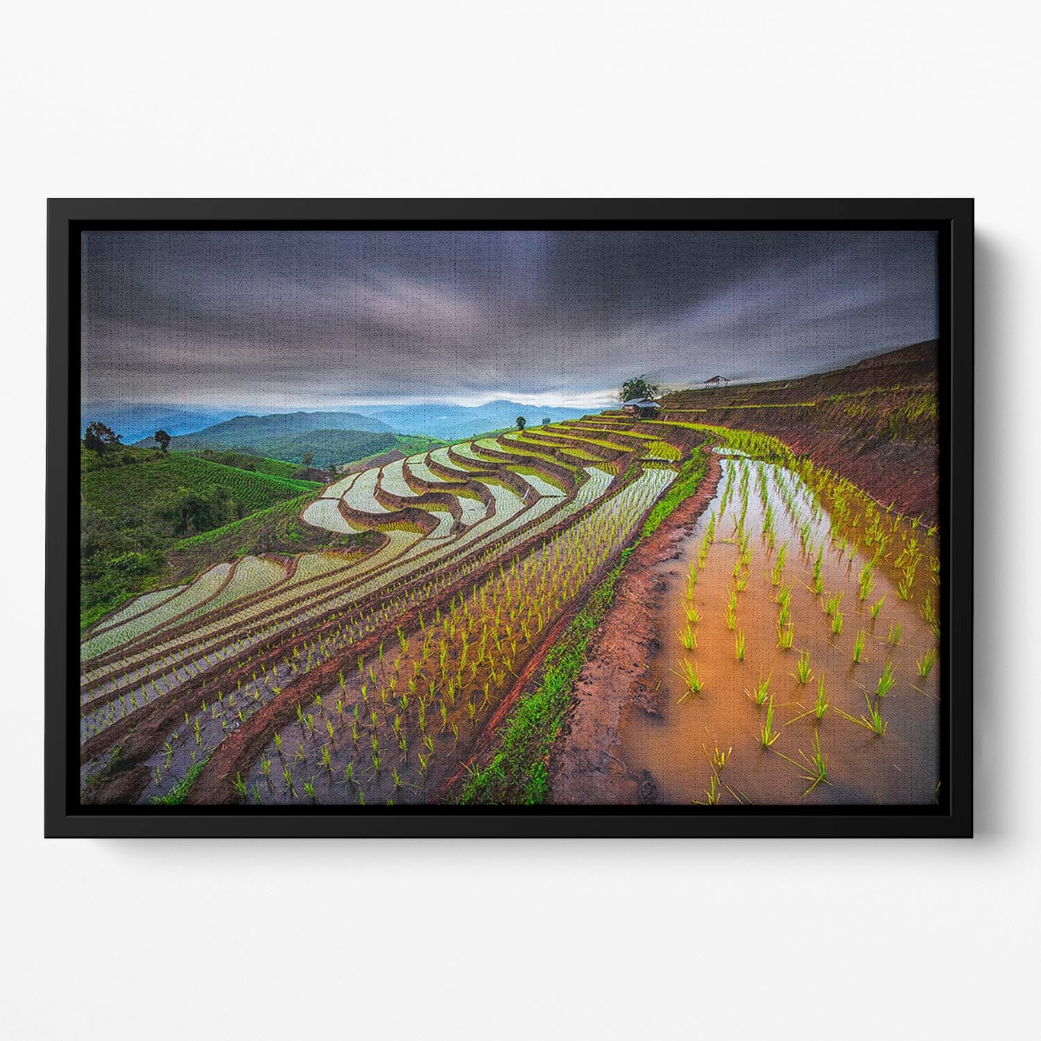 Unseen Rice Field Floating Framed Canvas - Canvas Art Rocks - 2