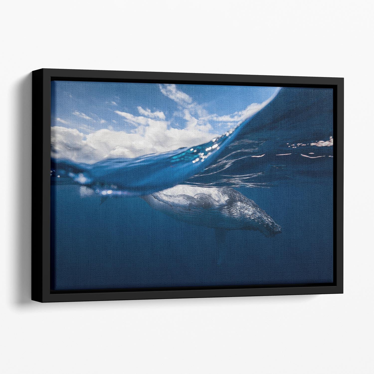 Humpback Whale And The Sky Floating Framed Canvas - Canvas Art Rocks - 1