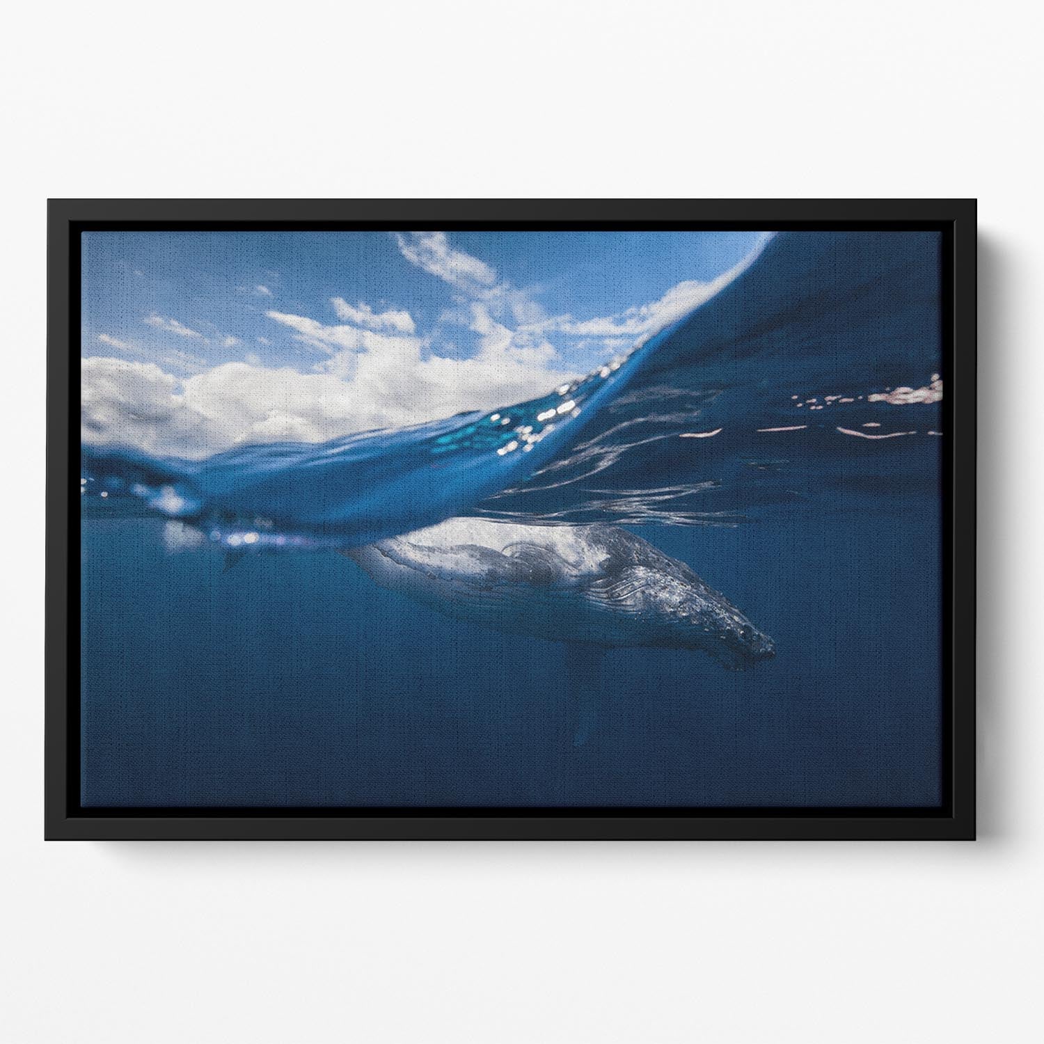 Humpback Whale And The Sky Floating Framed Canvas - Canvas Art Rocks - 2