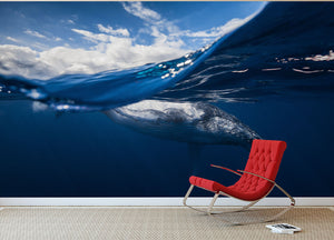 Humpback Whale And The Sky Wall Mural Wallpaper - Canvas Art Rocks - 2