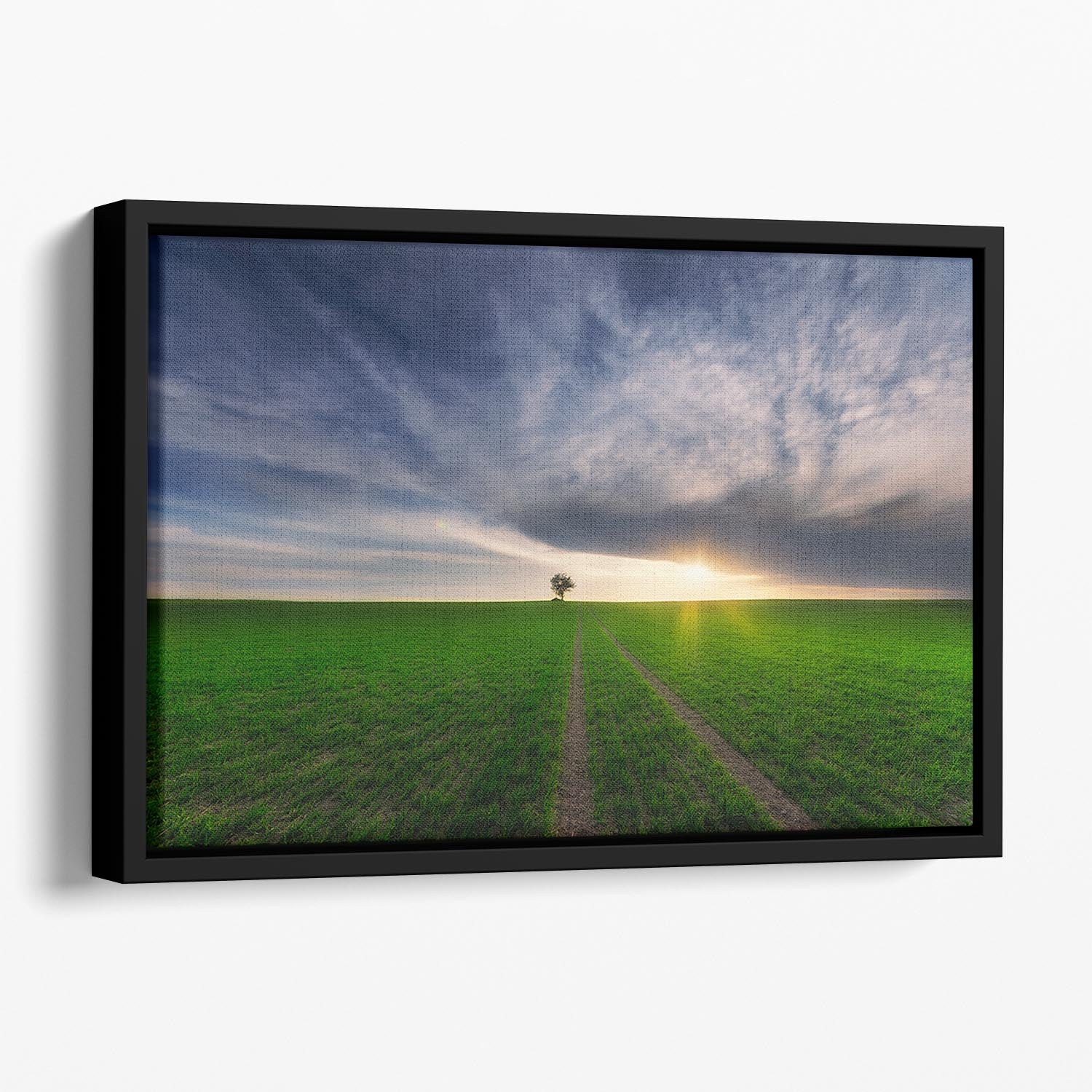 Loner In The Sun Floating Framed Canvas - Canvas Art Rocks - 1