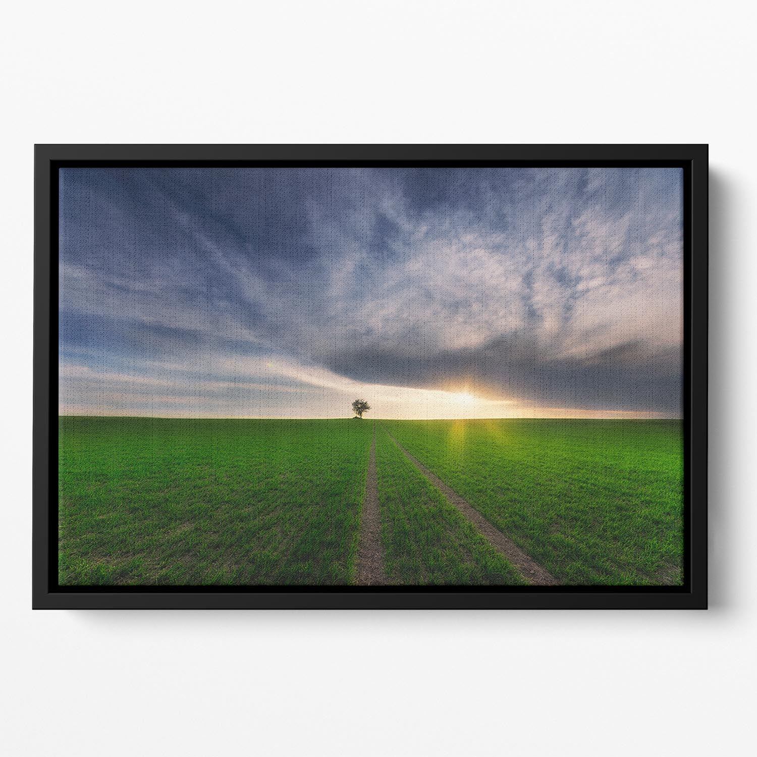 Loner In The Sun Floating Framed Canvas - Canvas Art Rocks - 2