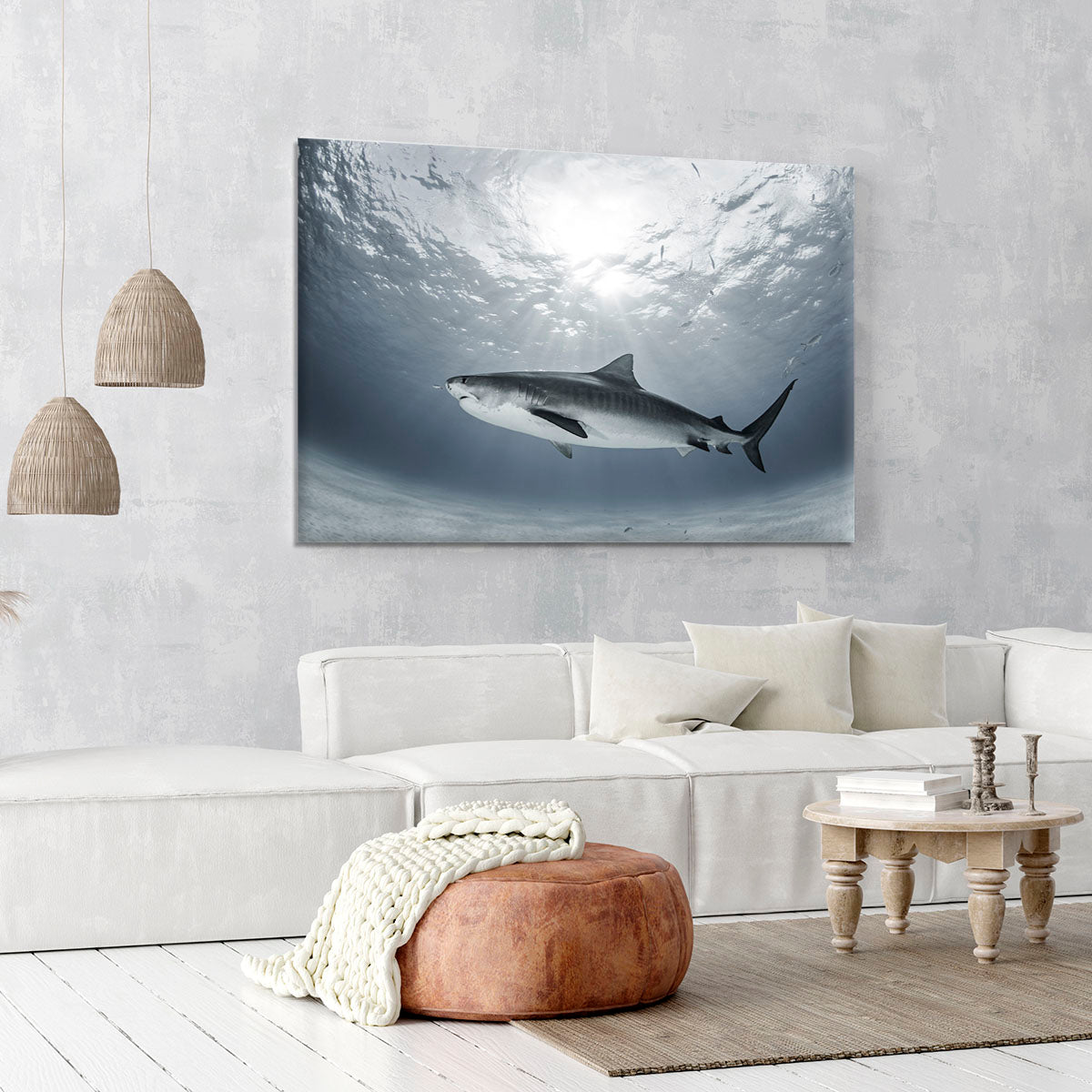 Tiger Rays Canvas Print or Poster - Canvas Art Rocks - 6