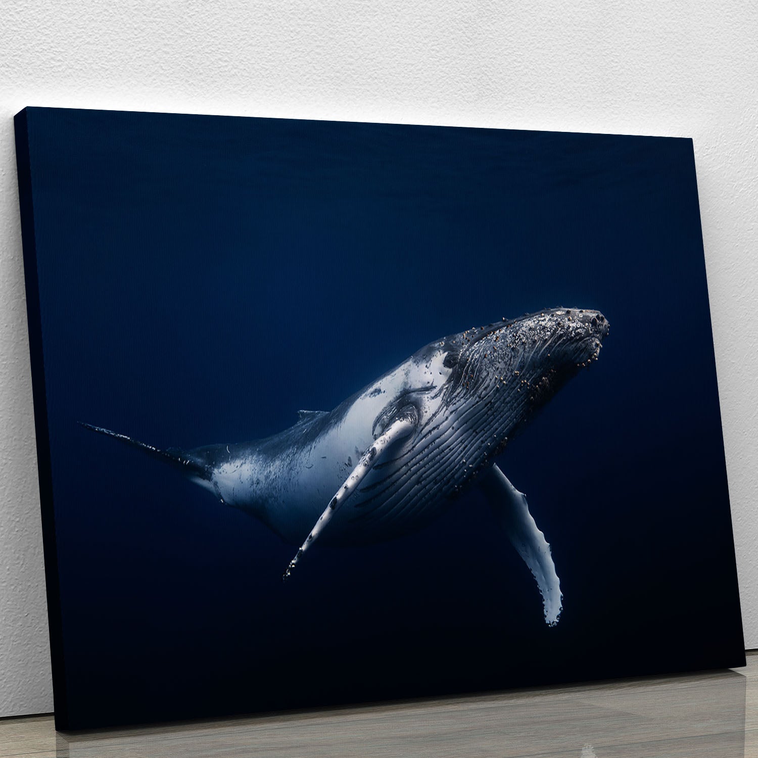 Humpback Whale In Blue Canvas Print or Poster - Canvas Art Rocks - 1