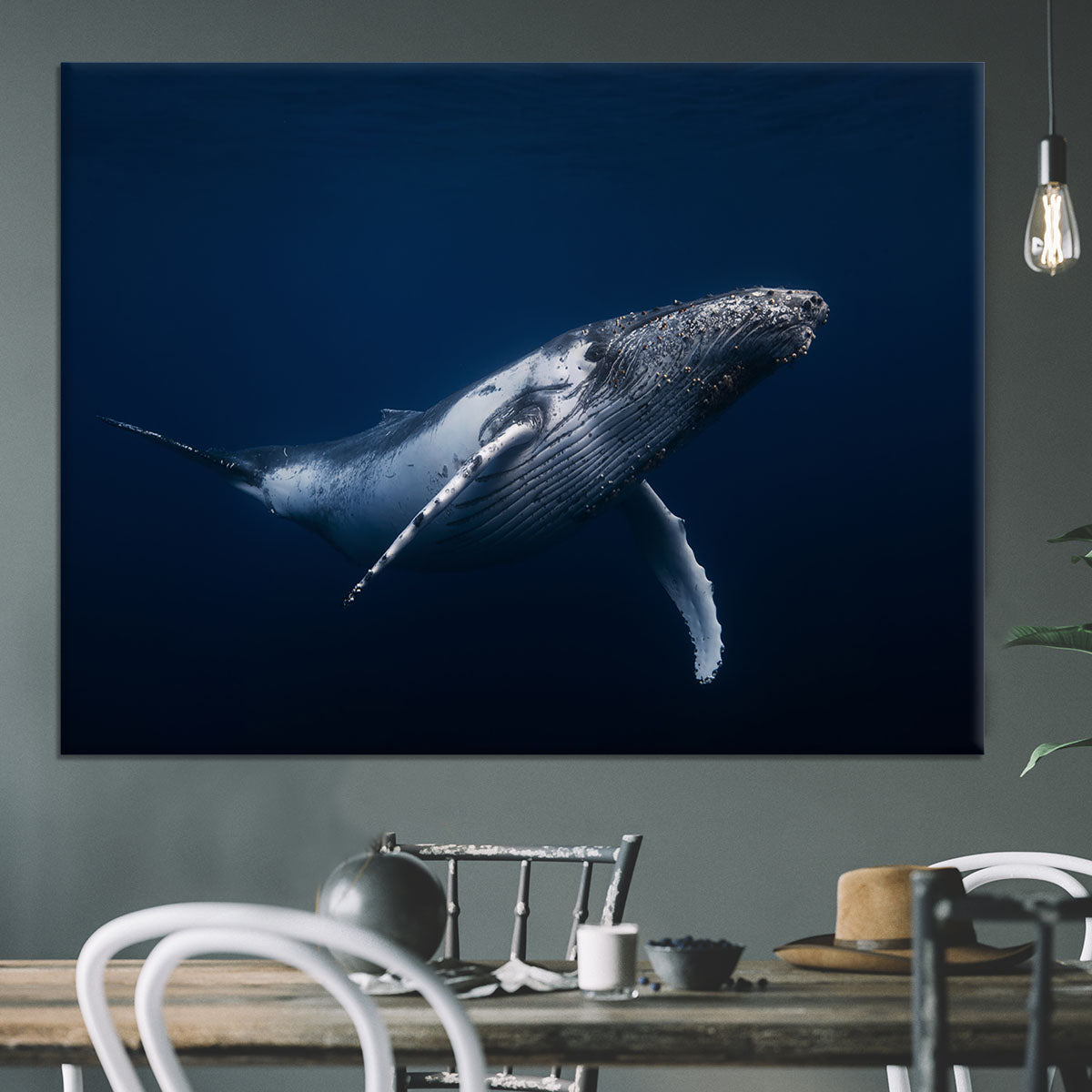 Humpback Whale In Blue Canvas Print or Poster - Canvas Art Rocks - 3