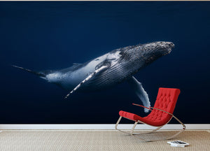 Humpback Whale In Blue Wall Mural Wallpaper - Canvas Art Rocks - 2