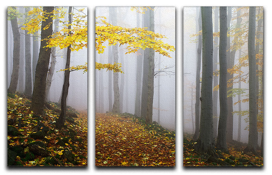 Autumn Fall Landscape 3 Split Panel Canvas Print - Canvas Art Rocks - 1